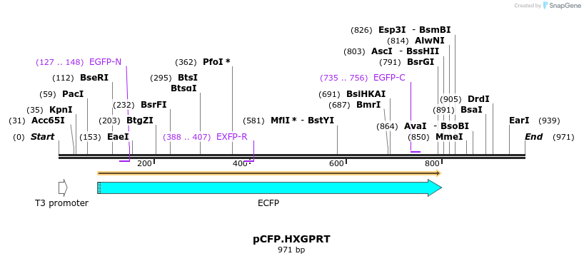 160537_map