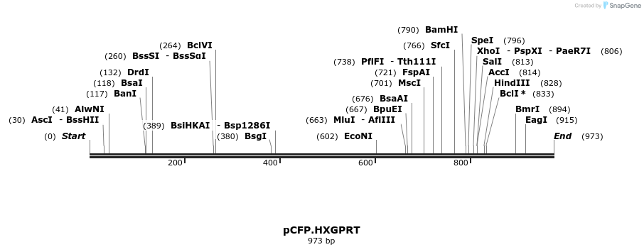 160538_map