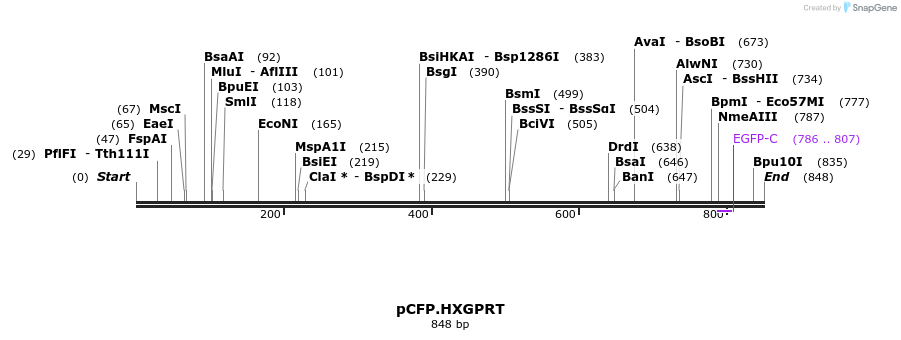 160540_map