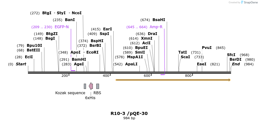 160541_map