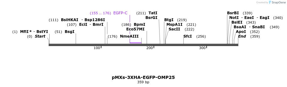 160552_map