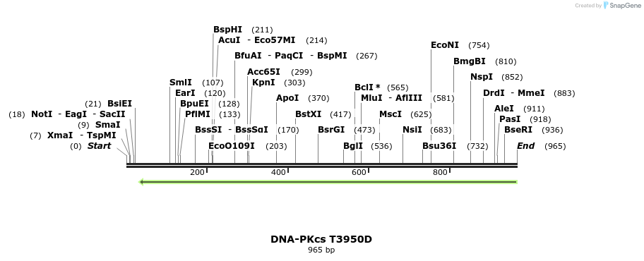 160556_map
