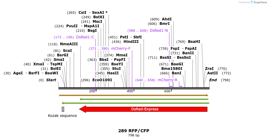 160559_map