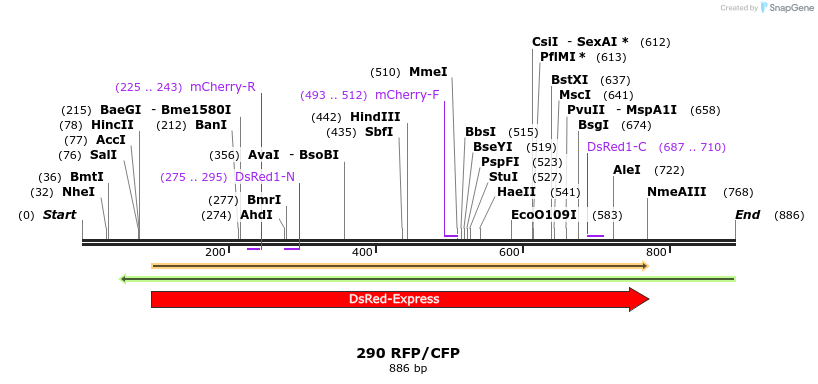 160565_map