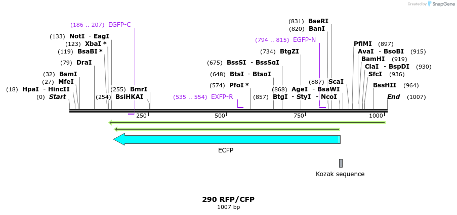 160568_map