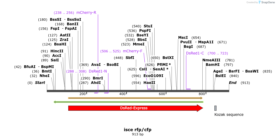 160571_map