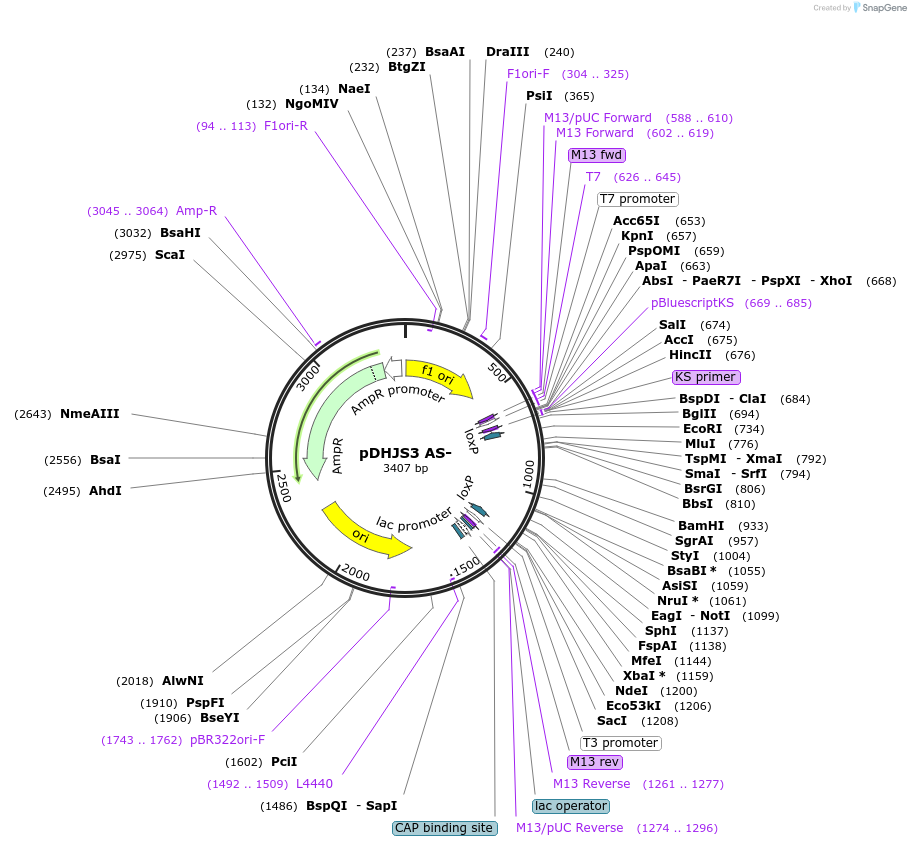 160572_map