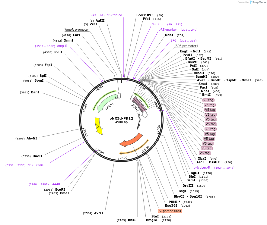 160574_map