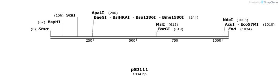 160575_map