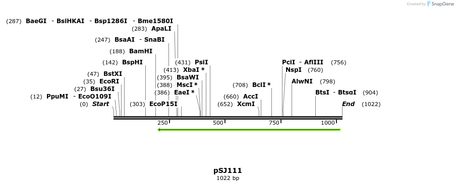 160576_map