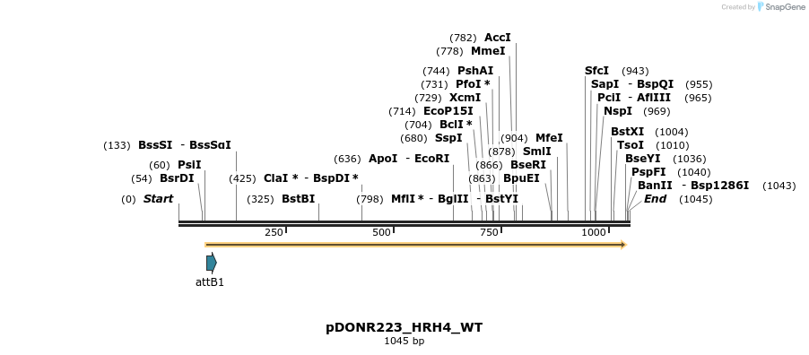 160596_map