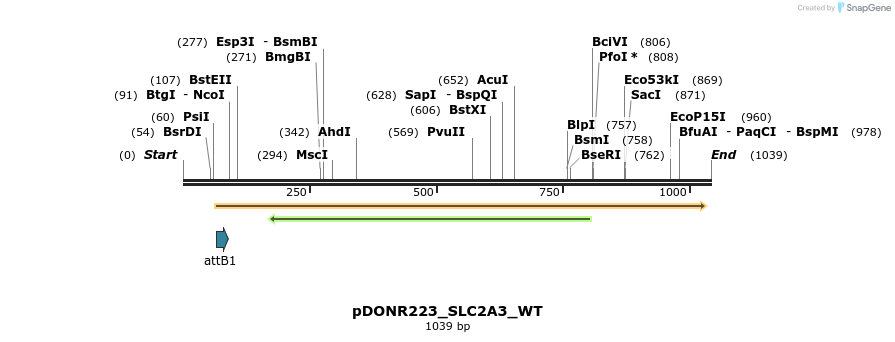 160597_map
