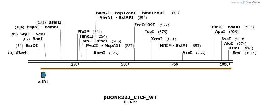 160599_map
