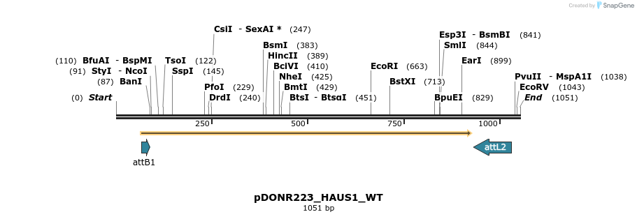 160600_map