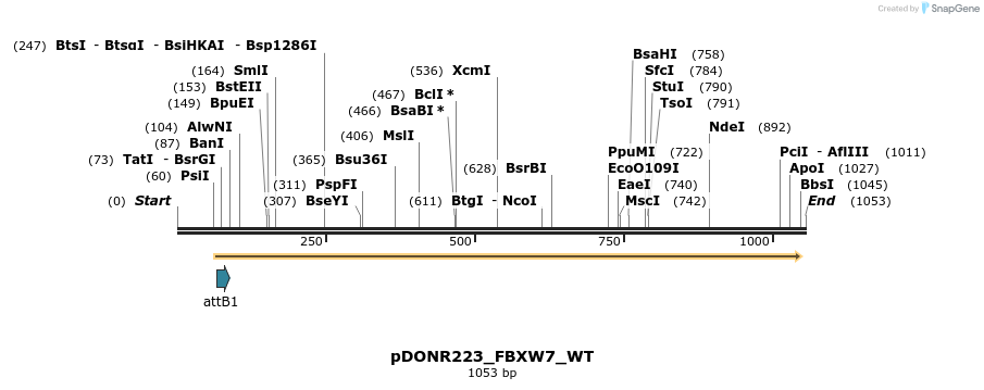 160606_map