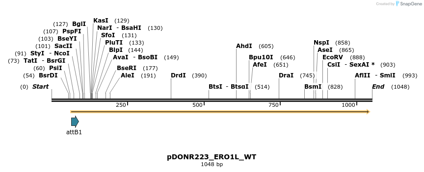 160607_map
