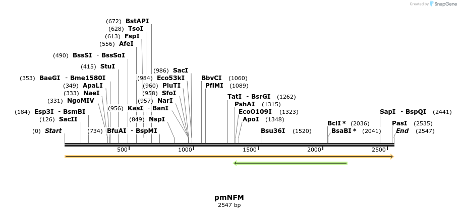 160608_map