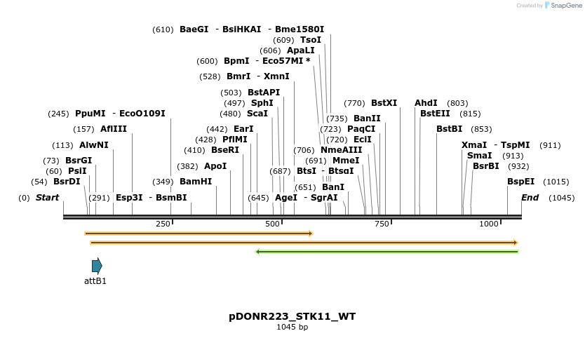 160610_map