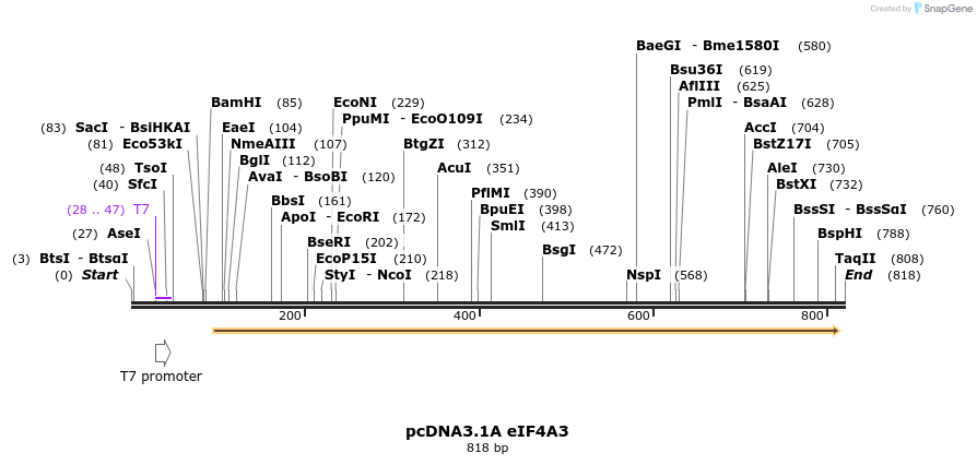 160626_map