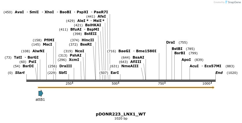 160631_map