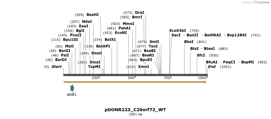 160633_map