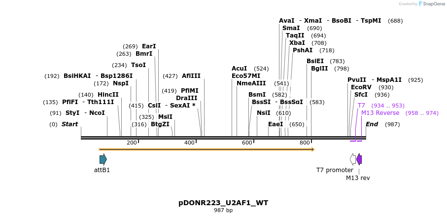 160634_map