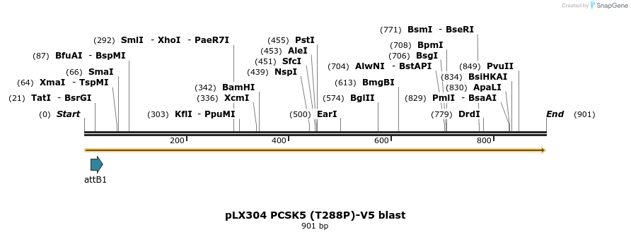 160761_map