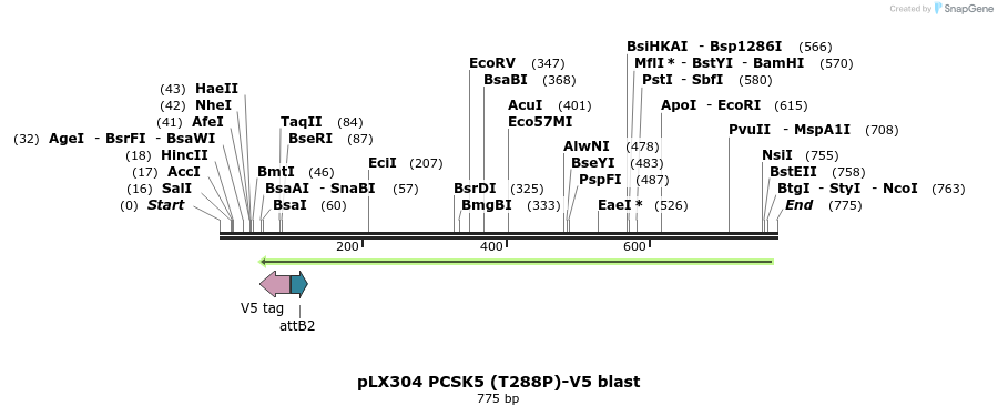 160762_map