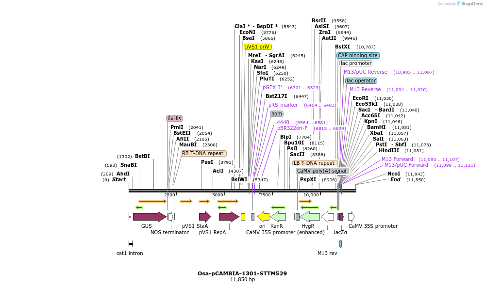 160773_map