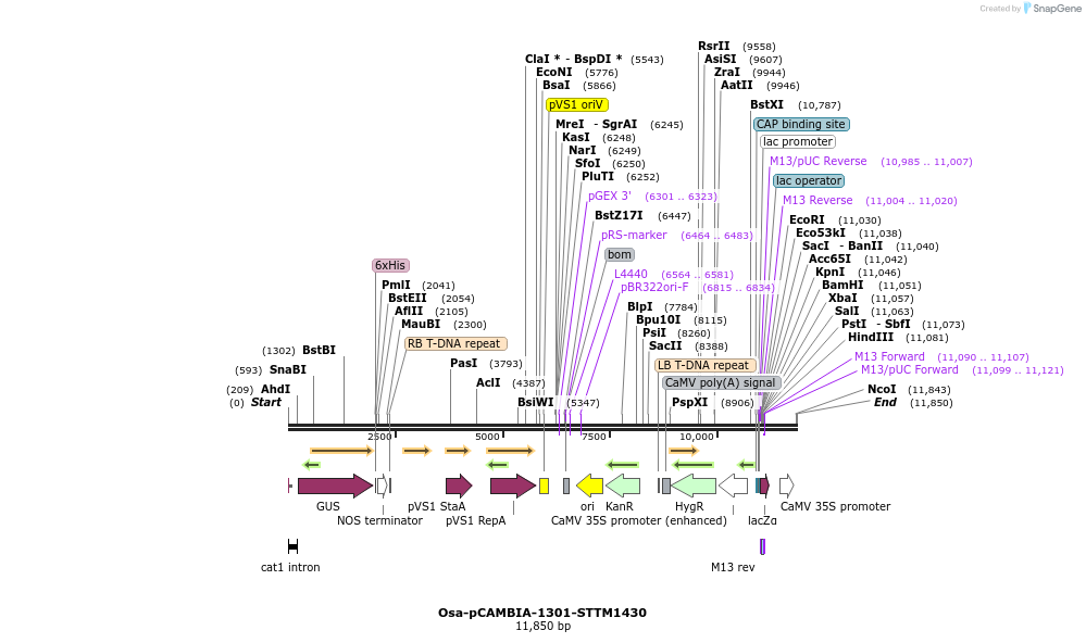 160780_map
