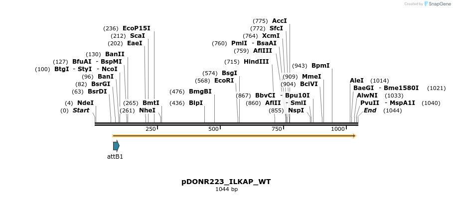 160789_map