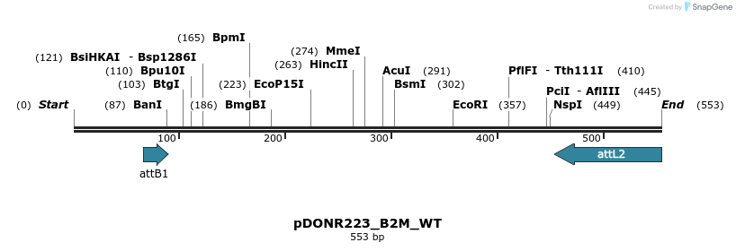 160790_map