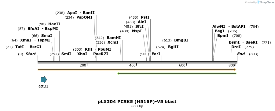 160791_map