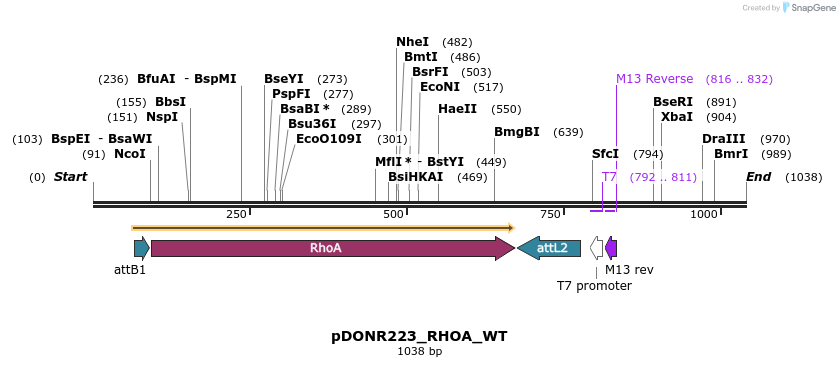 160793_map