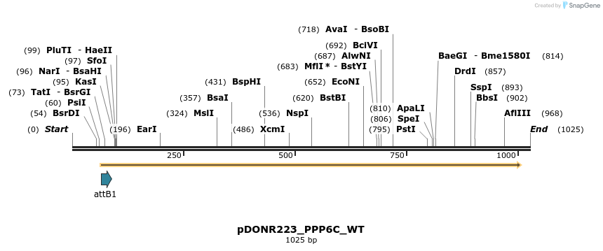 160794_map