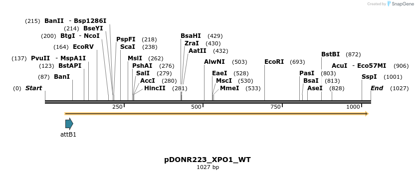 160795_map