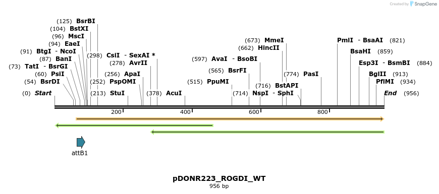 160797_map