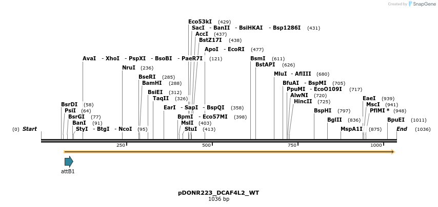 160800_map