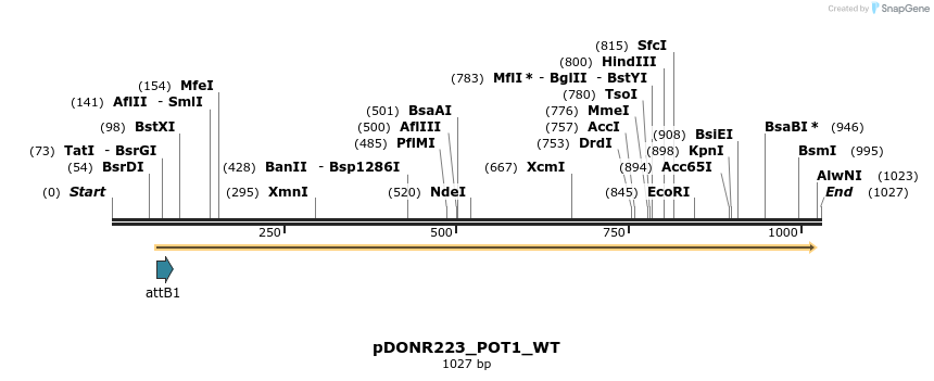 160803_map