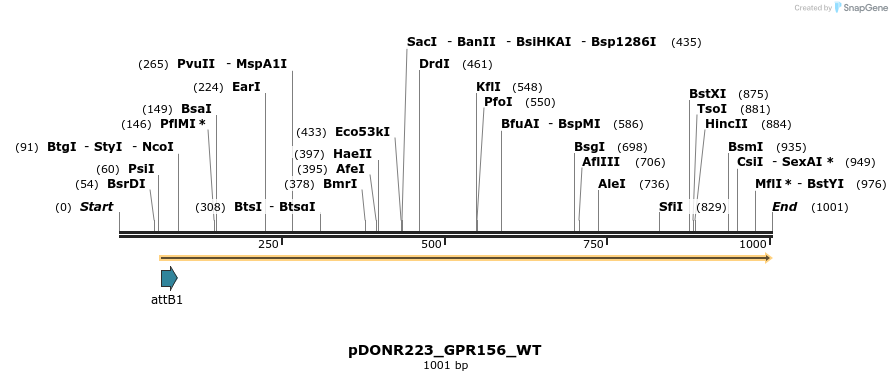 160805_map