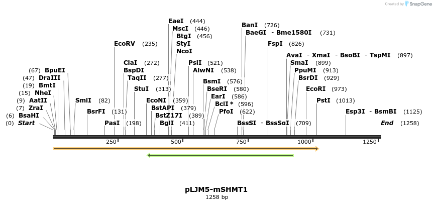 160825_map