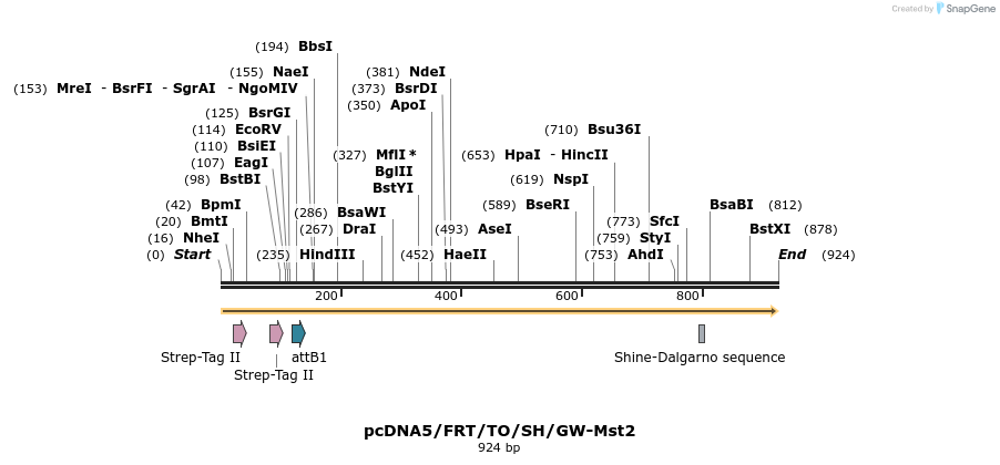 160879_map