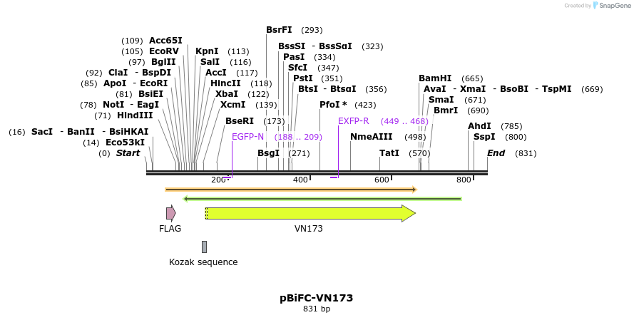 160885_map