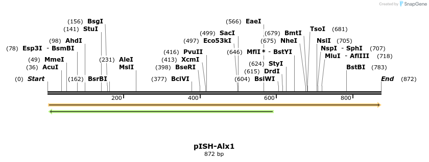 160894_map