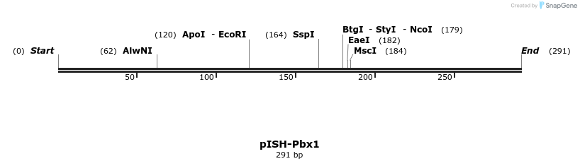 160906_map