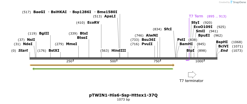 160936_map