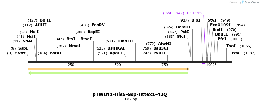160938_map
