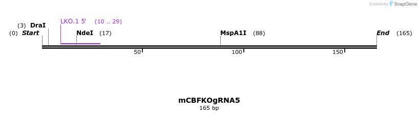 160940_map