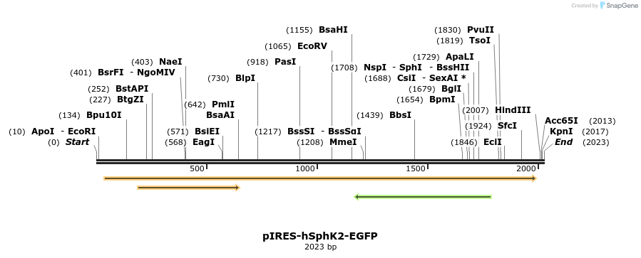 160946_map