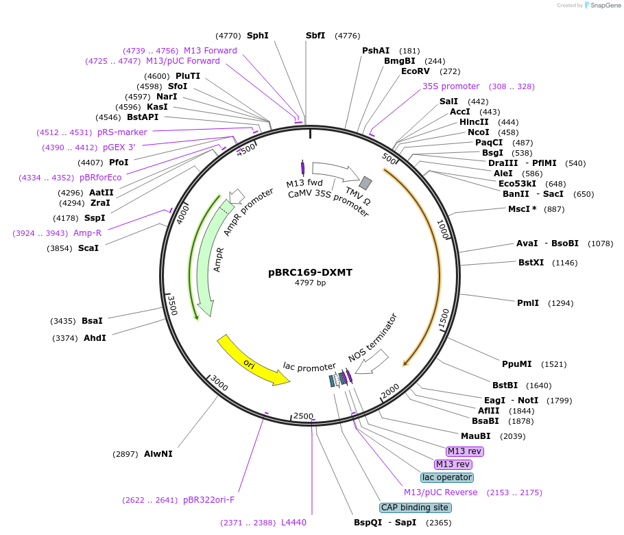 160947_map